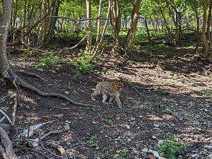 Kleinster Ortsteil, Viel zu erleben: Strau&szlig;berg 