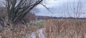 Spaziergang entlang der Unstrut aus Richtung Gorsleben in Richtung Sachsenburg