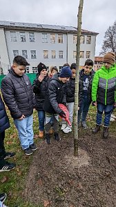 Baumpflanzung 2.0 an der Petersbergschule