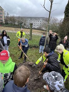 Baumpflanzung 2.0 an der Petersbergschule