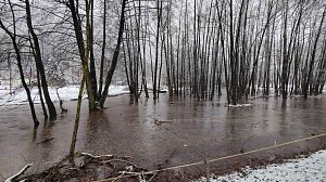 Schnee und Wasser