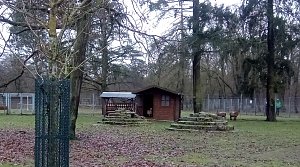 Beobachtungen im Stadtpark