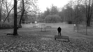 Beobachtungen im Stadtpark