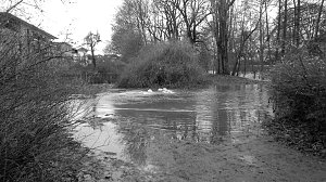 Beobachtungen im Stadtpark