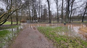 Peter Blei unterwegs im Stadtpark