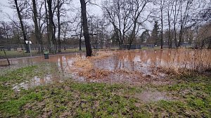 Peter Blei unterwegs im Stadtpark