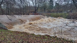 Peter Blei unterwegs im Stadtpark