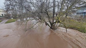 Peter Blei unterwegs im Stadtpark