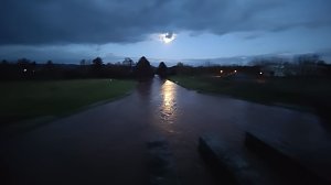 Voller Stausee bei Kelbra