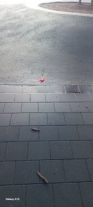 Kinder wehren sich gegen Verm&uuml;llung &ouml;ffentlicher Pl&auml;tze