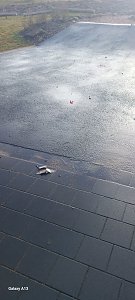 Kinder wehren sich gegen Verm&uuml;llung &ouml;ffentlicher Pl&auml;tze