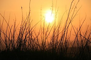 Sonnenuntergang - fotografiert vom Hainer Berg