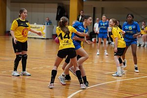 Handballturnier der Damen C Jugend
