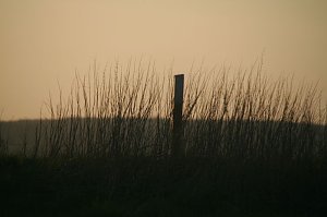 Sonnenuntergang - fotografiert vom Hainer Berg