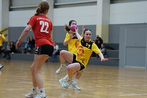Handballturnier der Damen C Jugend