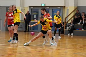 Handballturnier der Damen C Jugend