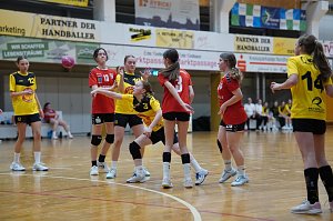Handballturnier der Damen C Jugend