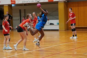 Handballturnier der Damen C Jugend