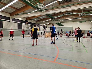 Volleyballturnier der WSG Franzberg