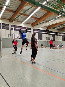 Volleyballturnier der WSG Franzberg