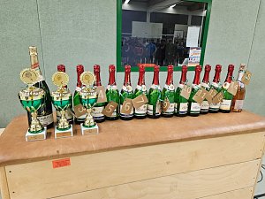 Volleyballturnier der WSG Franzberg