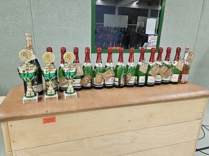 Volleyballturnier der WSG Franzberg