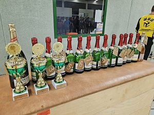 Volleyballturnier der WSG Franzberg