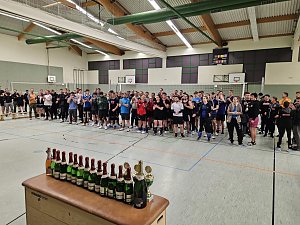Volleyballturnier der WSG Franzberg