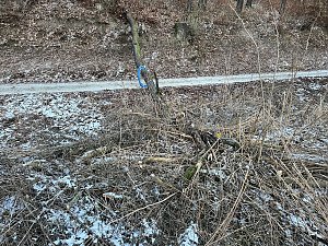 Tragischer Unfall in Sondershausen