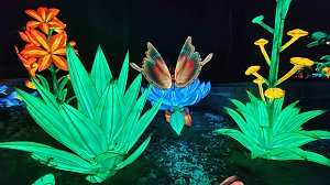 Peter Blei unterwegs in magischen Lichterwelten