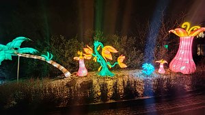Peter Blei unterwegs in magischen Lichterwelten