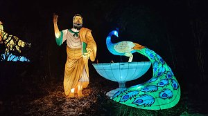 Peter Blei unterwegs in magischen Lichterwelten