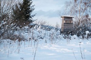 Wunderbare Winterlandschaft bei Benneckenstein