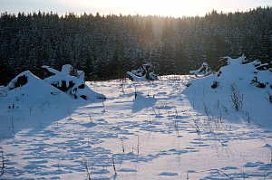 Wunderbare Winterlandschaft bei Benneckenstein