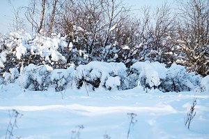 Wunderbare Winterlandschaft bei Benneckenstein