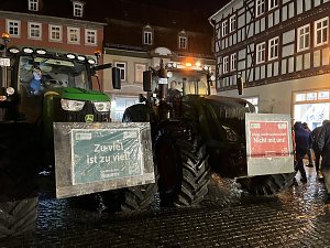 Protestkundgebung auf dem Neumarkt
