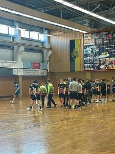 Handballnachlese zum Wochenende