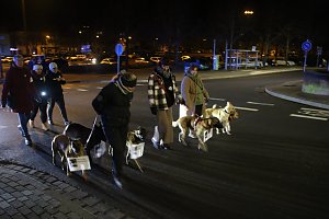Demonstrationszug durch die Nordh&auml;user Innenstadt