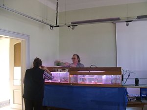 B&ouml;rse im Vereinshaus
