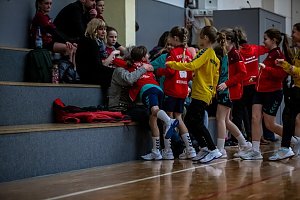 Handballnachlese zum Wochenende