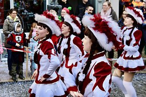 Fr&ouml;hliche Menschen feierten bei strahlendem Sonnenschein den Karnevalsumzug durch Bad Langensalza