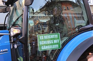 Fr&ouml;hliche Menschen feierten bei strahlendem Sonnenschein den Karnevalsumzug durch Bad Langensalza