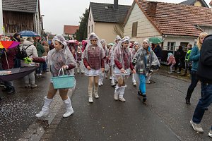 Fasching in Gro&szlig;wechsungen