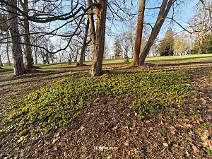 Peter Blei unterwegs im Park Hohenrode