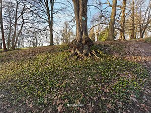 Peter Blei unterwegs im Park Hohenrode