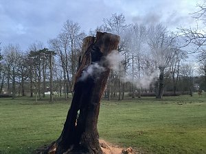Erneuter Brand im Schlosspark Sondershausen