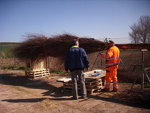 Fr&uuml;hjahrsputz Bad Frankenhausen