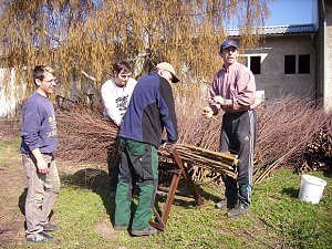 Fr&uuml;hjahrsputz Bad Frankenhausen