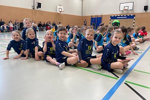 Handballnachlese zum Wochenende