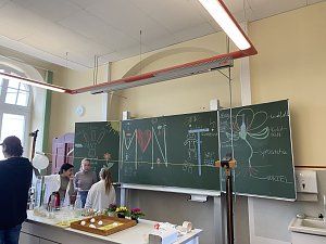 Tag der offenen T&uuml;r am Herder-Gymnasium